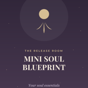 Mini Soul Blueprint Report